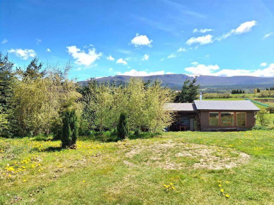 Faisanes, Coyhaique